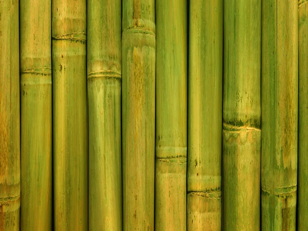 Hastes de bambu — Fotografia de Stock