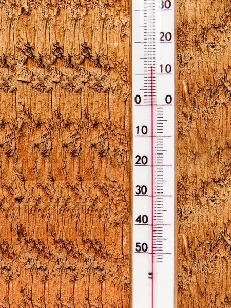 stock image The thermometer on a wall from a tree