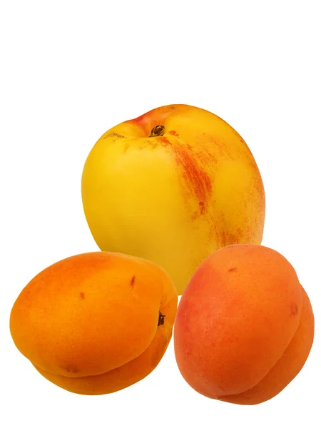 Fruit an apricot and a hybrid with a pea — Stock Photo, Image