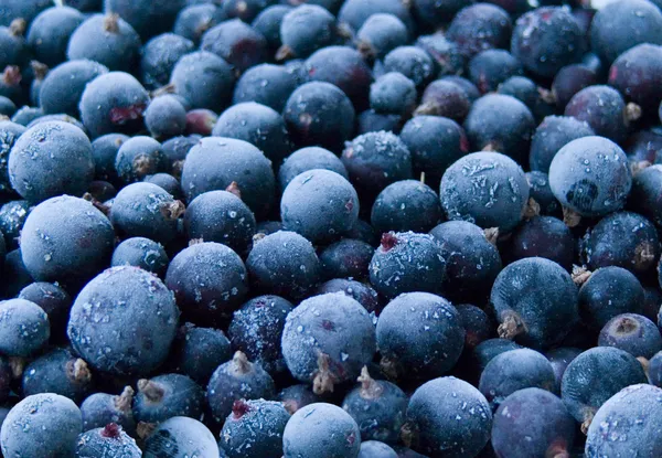 Berries frozen — Stock Photo, Image