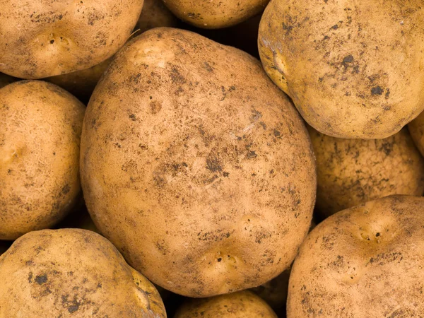 Aardappel een abstracte achtergrond — Stockfoto