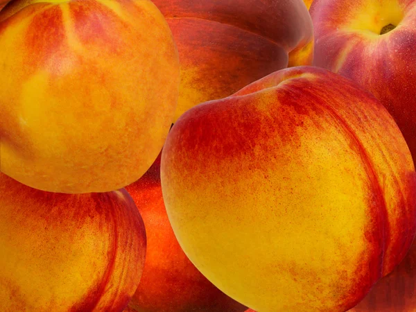 Fruta um pêssego e damasco híbrido — Fotografia de Stock