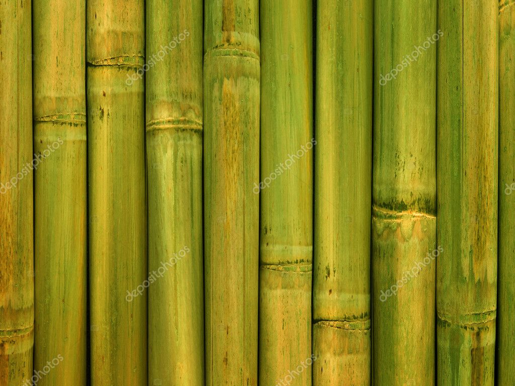 Bamboo stalks Stock Photo by ©Olegusk 1261667