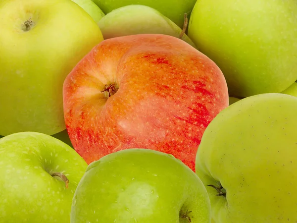 Apples green red — Stock Photo, Image