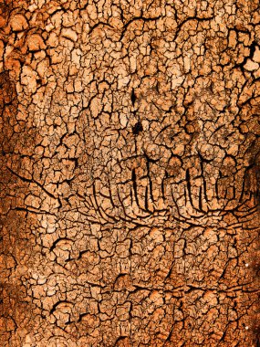 çatı malzemesi üzerinde çatlaklar