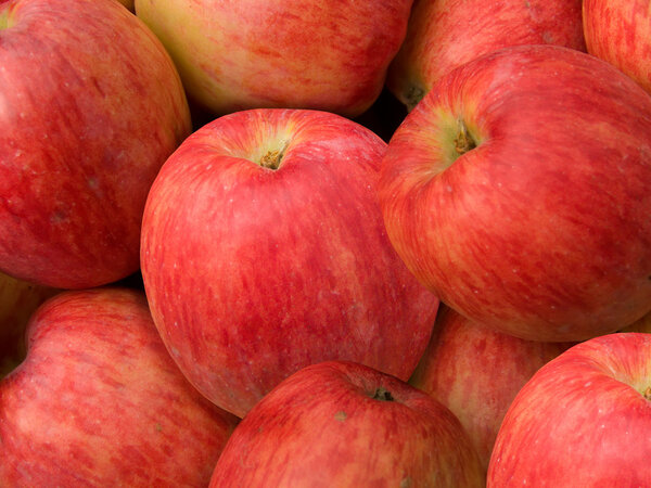 Фруктовые яблоки
