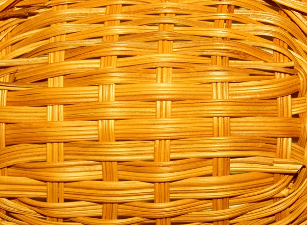 stock image Weaving of branches of a bush