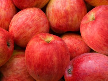elma meyve bir arka plan