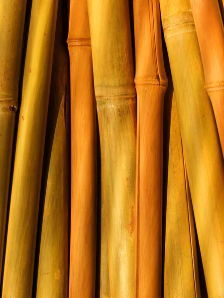 Abstracte achtergrond van bamboe stengels — Stockfoto