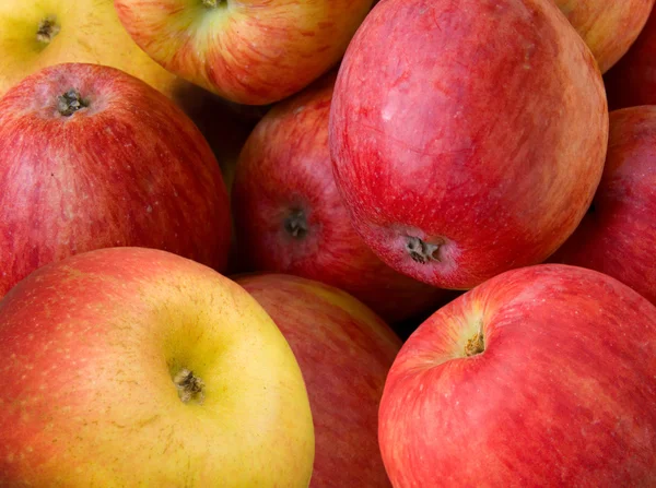 Owoce jabłka — Zdjęcie stockowe
