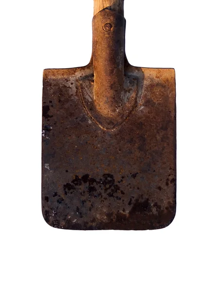 The tool a shovel — Stock Photo, Image