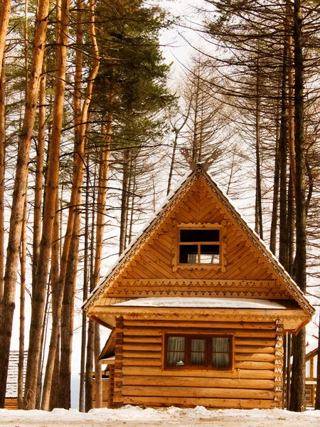 The house from logs — Stok fotoğraf