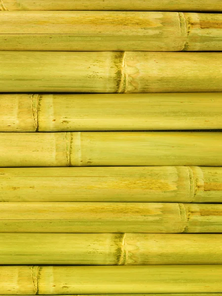 Hastes de bambu — Fotografia de Stock