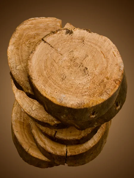 El corte del árbol el roble — Foto de Stock