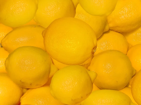 Λεμόνια φρούτων ομώνυμων — Φωτογραφία Αρχείου