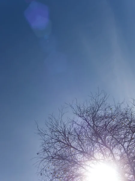 Небесное солнце — стоковое фото