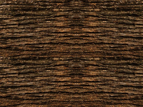 Bark trädet ek — Stockfoto