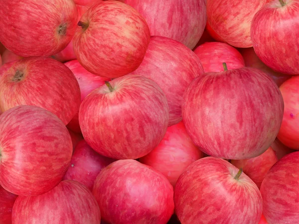 Ovoce jablka — Stock fotografie