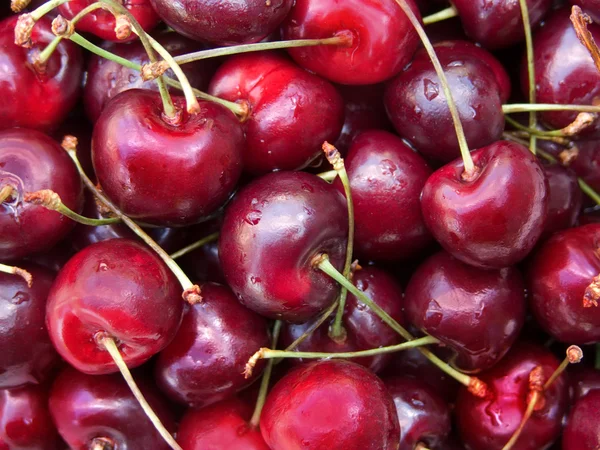Bogyós gyümölcsök, cseresznye — Stock Fotó