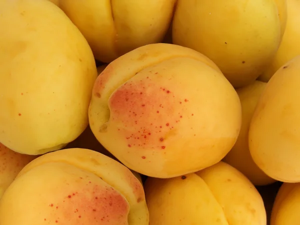 Fruit abrikozen — Stockfoto