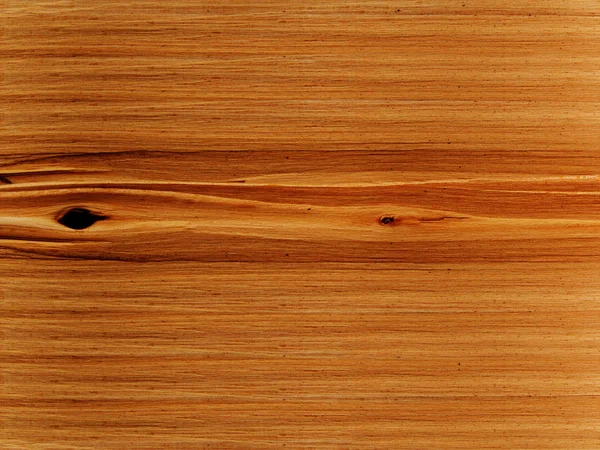 Textury strom Lípa — Stock fotografie