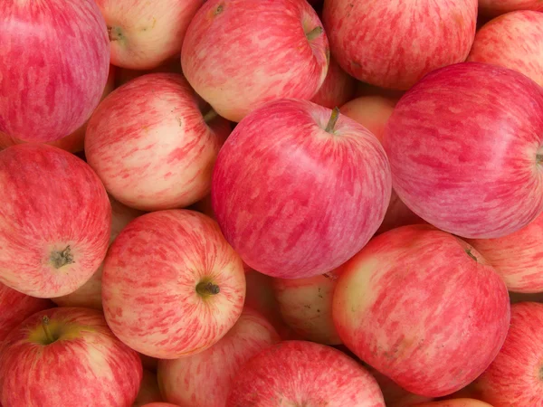 Owoce jabłka — Zdjęcie stockowe