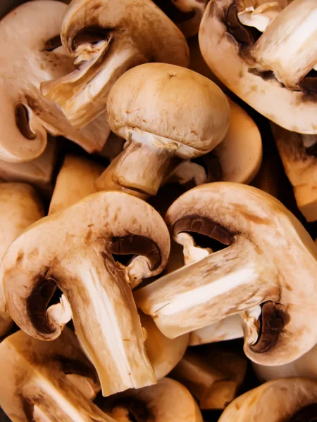 Vegetables mushrooms — Stock Photo, Image