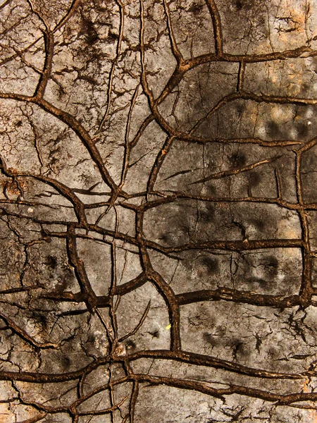 Cracks roofing material — Stock Photo, Image