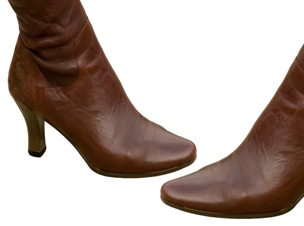 Kopyta szewskie damskie obuwie — Zdjęcie stockowe