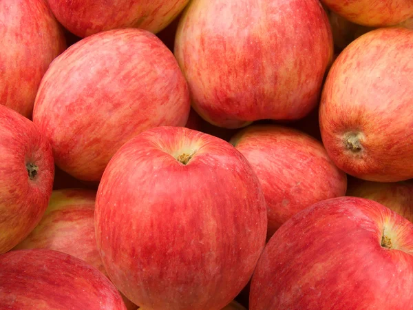 Ovoce jablka červená — Stock fotografie