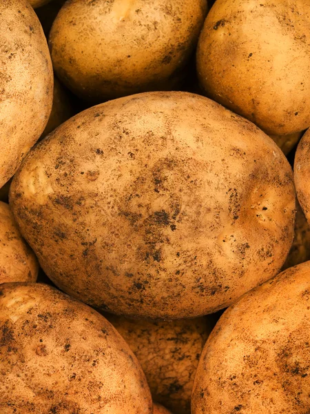 Grönsaker potatis — Stockfoto