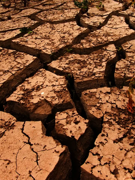 Cracks terra — Foto Stock