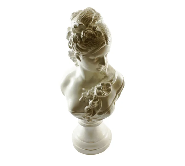 stock image Female bust