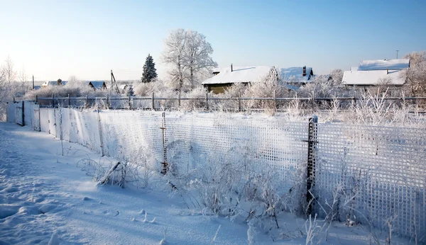 Vinterlandskap Royaltyfria Stockbilder