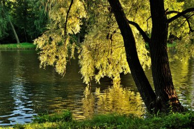 Altın akşam Park