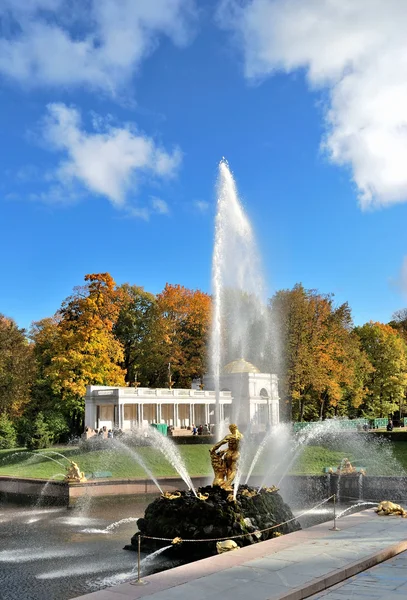 Peterhof. fontána samson — Stock fotografie