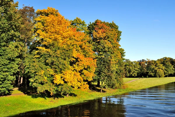 La riva dell'autunno — Foto Stock