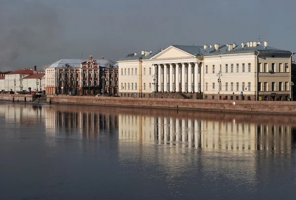 Академия наук. Санкт-Петербург — стоковое фото