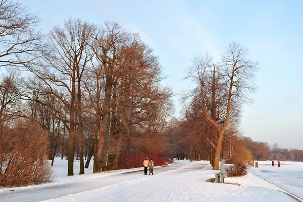 Dva ve winter parku — Stock fotografie