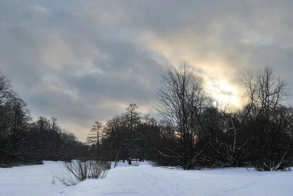 冬の太陽 — ストック写真