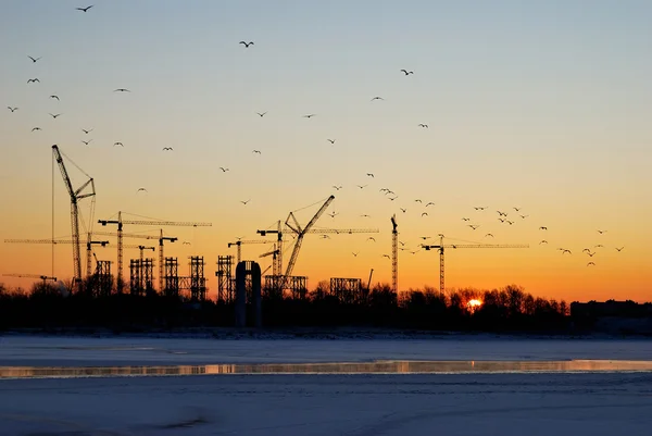 Průmyslové východ slunce s ptáky — Stock fotografie