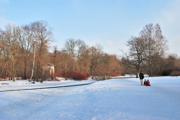 Sáňkování v zimě parku — Stock fotografie
