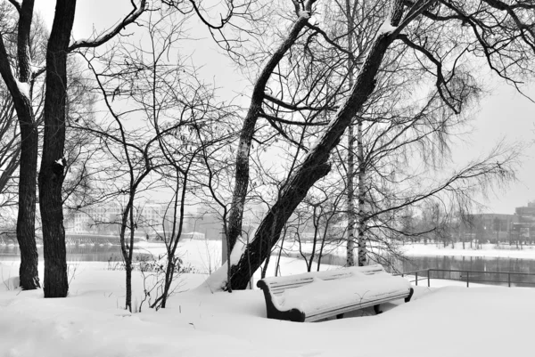 Una panchina solitaria in una nevicata — Foto Stock