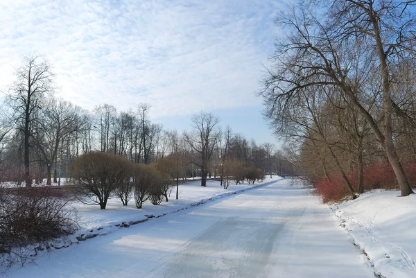 Paysage hivernal avec une rivière gelée — Photo