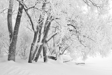 Kar yağışıweather condition