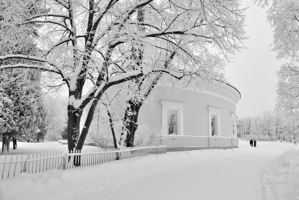 白い冬 — ストック写真