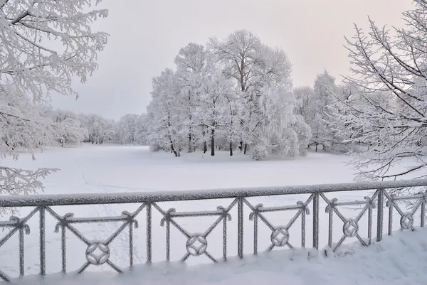 Χειμερινό πάρκο πριν το ηλιοβασίλεμα — Φωτογραφία Αρχείου