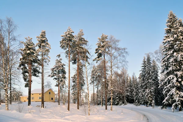 Invierno en Finlandia — Foto de Stock