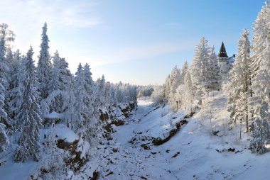 Vuoksa river-bed. Finland clipart