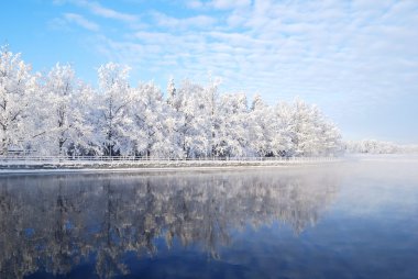 Winter trees reflecting in water clipart